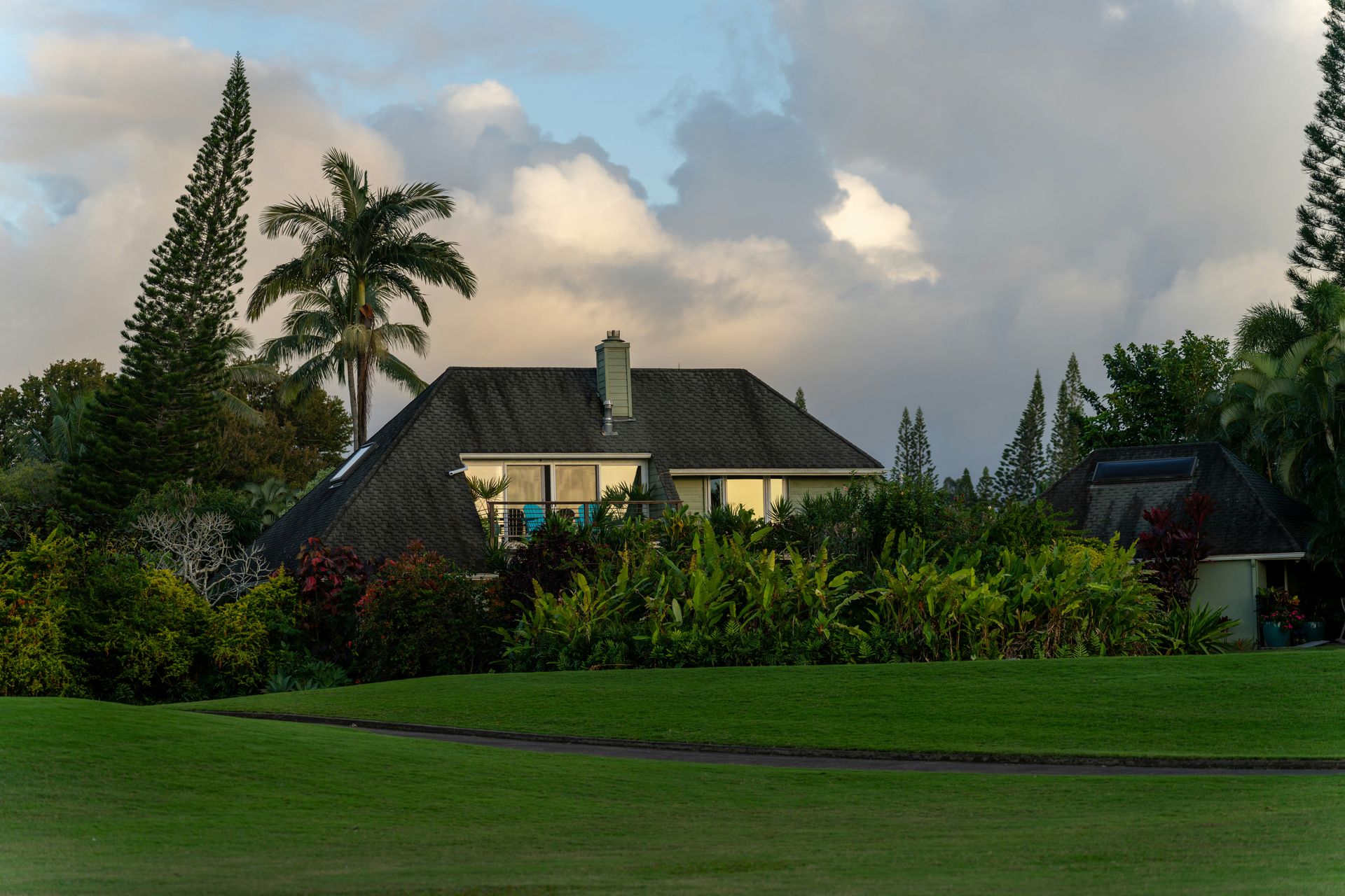A house surrounded by lush tropical foliage and palm trees.